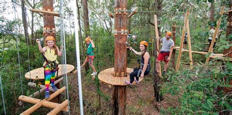 treetops gosford|Tree Ropes Course